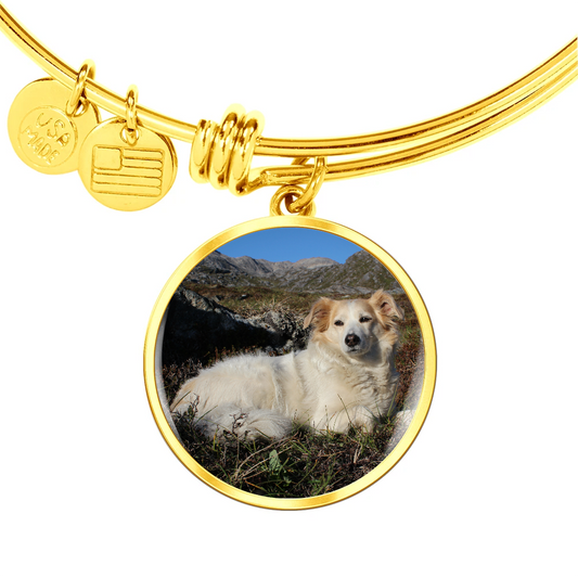 Tajaq ammalortoq nammineq assitaligassaq